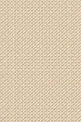 Papel De Parede Nude