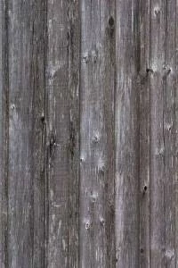 Papel de parede madeira envelhecida em tons de cinza 100-118