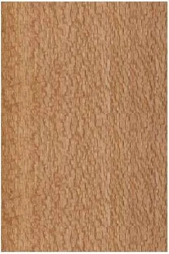 Papel de parede madeira Faia