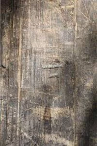 Papel de parede madeira velha