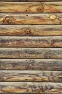 Papel de parede troncos de madeira