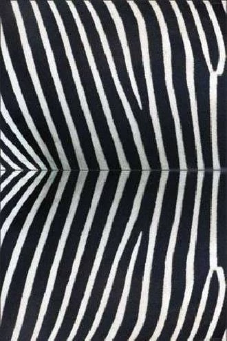 Papel de parede pele de zebra branco e preto
