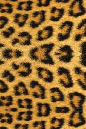 Papel de parede onça pintada