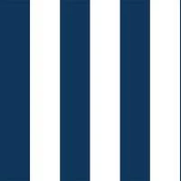 Papel meia parede listrado azul marinho e branco 822-1568
