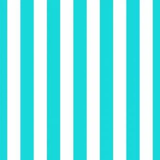 Papel meia parede com listras em azul tiffany e branco
