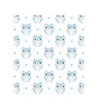 Papel de parede coruja azul 868-1648