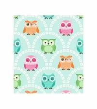 Papel de parede coruja com cores variadas 870-1650