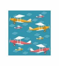 Papel de parede avião 872-1652