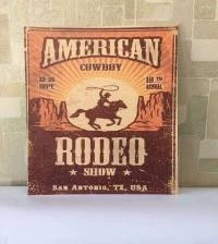 Quadro American Rodeo Show
