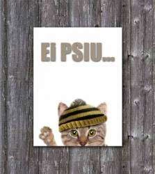 Quadro de gatinho ei psiu....