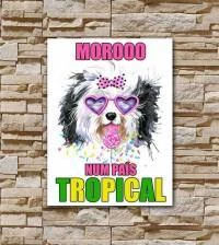 Quadro país tropical