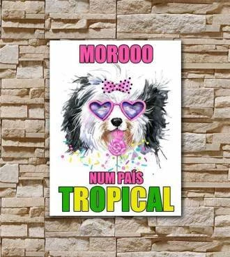 Pôster país tropical
