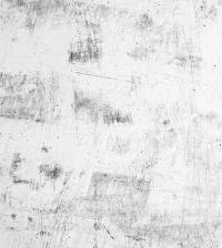 Papel de parede concreto branco e preto 971-1738