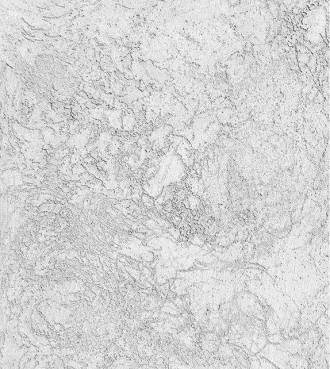 Papel de parede concreto pintado branco