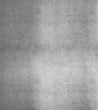 Papel de parede cimento queimado 976-1743