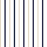Papel meia parede listrado azul marinho, branco e bege