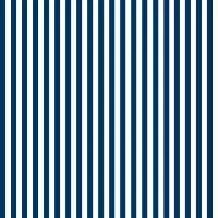 Papel meia parede listrado azul e branco