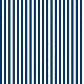 Papel meia parede listrado azul e branco