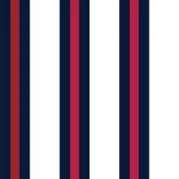 Papel meia parede listrado azul, vermelho e branco
