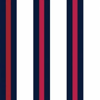 Papel meia parede listrado azul, vermelho e branco