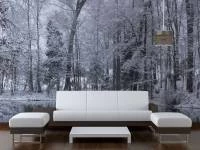 Foto Mural Floresta com Neve 1087-2027