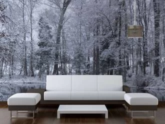 Foto Mural Floresta com Neve