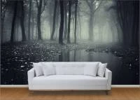 Foto Mural Floresta Negra 1088-2032
