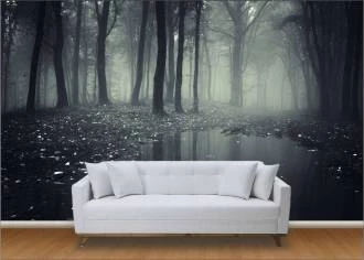 Foto Mural Floresta Negra