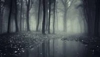 Foto Mural Floresta Negra 1088-2033