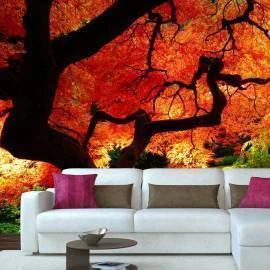 Foto mural Árvore Bordo