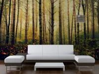 Foto Mural Paisagem Floresta 1111-2207