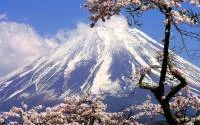 Foto Mural Paisagem Monte Fugi 1113-2220
