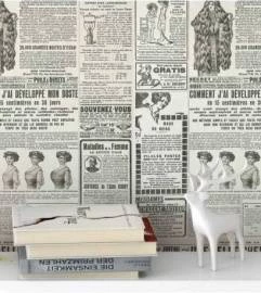 Papel de parede jornal francês
