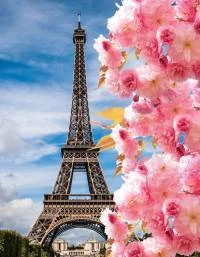 Adesivo de porta Torre Eiffel floral 1398-3069