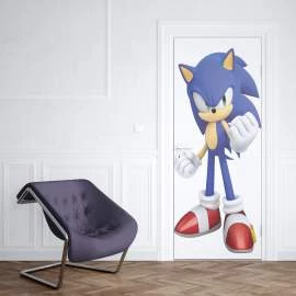 Adesivo para porta Sonic
