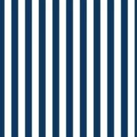 Papel meia parede azul marinho e branco com listras finas 496-3149