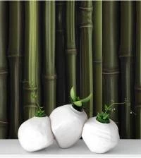 Papel de parede madeira Bambu 405-3224