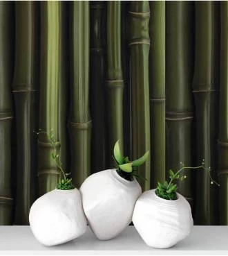 Papel de parede madeira Bambu