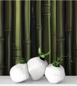 Papel de parede madeira Bambu