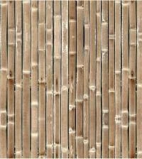 Papel de parede bambu 1447-3286