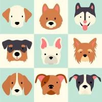 Papel de parede dog face 1557-3641