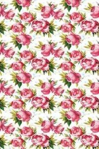 Papel de parede floral com rosas e fundo branco 336-384