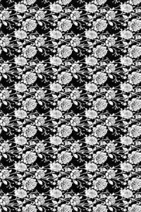 Papel de parede floral com fundo preto e rosas brancas