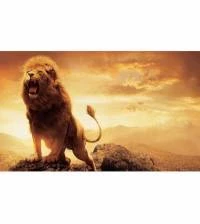 Painel Adesivo filme as cronicas de Narnia leão 1727-4052