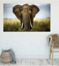 Painel Adesivo Elefante Africano 1757-4113