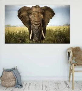 Painel Adesivo Elefante Africano