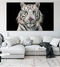 Painel Adesivo Tigre Branco Siberiano 1759-4117