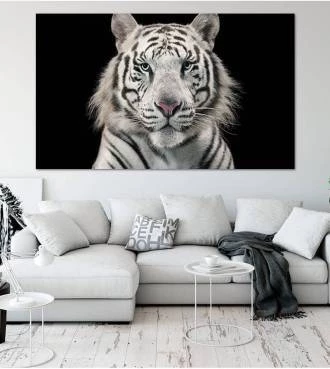 Painel Adesivo Tigre Branco Siberiano