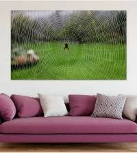 Painel Adesivo Teia de Aranha 1762-4123