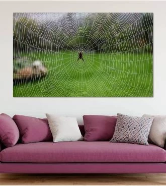 Painel Adesivo Teia de Aranha